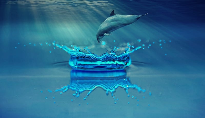 Underwater Fantasy